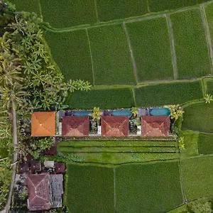 Airsania Antique Villa